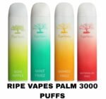 RIPE VAPES PALM 3000 PUFFS DISPOSABLE IN UAE
